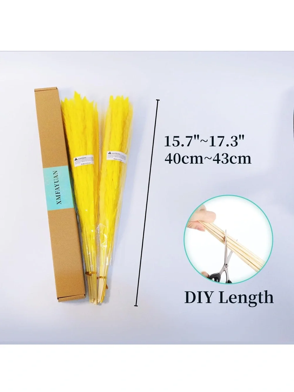 Colorful Dried Pampas Grass Stems – Multicolor Home Accent